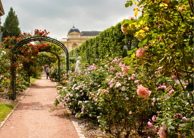 Rinkinys MISS JARDIN Midi