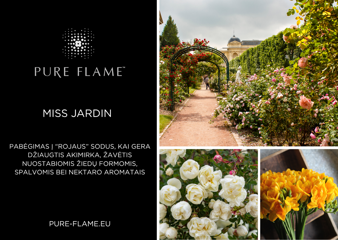 Rinkinys MISS JARDIN Midi