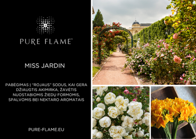 Rinkinys MISS JARDIN Maxi