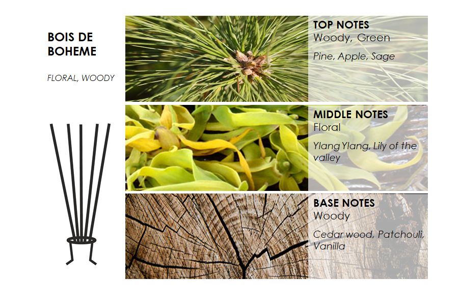 Rinkinys BOIS DE BOHEME Maxi