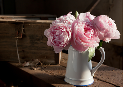 Rinkinys FLEUR ROYALE Midi
