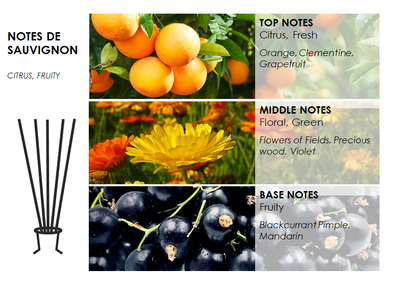 NOTES DE SAUVIGNON "DU VIN" scented candles